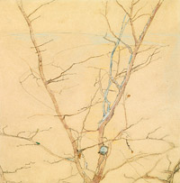  Эгон Шиле. Дерево ранней весной. Ок. 1908. Бумага, карандаш. 31,5х31,5см 
