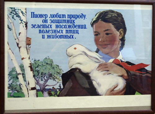  Вигилянская Н. Пионер любит природу… 1959. Москва.  38,5х56  