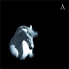 Обложка альбома «Лошадь белая»