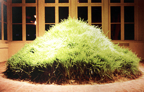 Ханс Хааке. Трава растет (Grass Grows). 1969