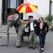 Джереми Деллер (справа) с участниками своего проекта Фольклорный архив, механическим слоном и его хозяином, у входа в Пале-де-Токио. 2008 