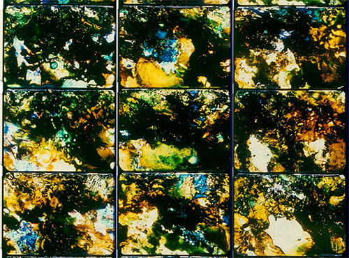 Девять кадров 35-ти миллиметровой пленки из фильма Стэна Брекиджа «Жизнь есть песня» 1987