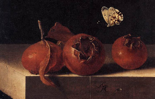 Адриан Коорт. Натюрморт с мушмулой и бабочкой. 1705