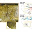 Наскальные изображения возрастом 14 тысяч лет, найденные в Испании, возможно, являются первой картой европейской территории, созданной человеком.