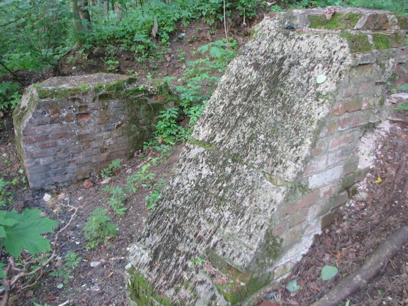 Фундаменты водовзводной башни (арх. В.Я. Стрижаков, 1816) и даже фрагменты водоводов до сих пор можно увидеть в Горятинской роще