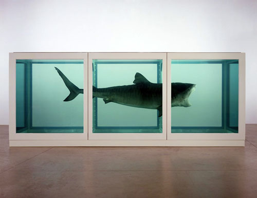 Damien Hirst. The Physical Impossibility of Death in the Mind of Someone Living.  1991 