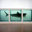 Damien Hirst. The Physical Impossibility of Death in the Mind of Someone Living.  1991 