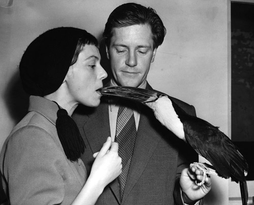 Джеральд Даррелл и его жена Джеки. 1954