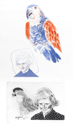  Дэвид Хокни, «Моя мама с попугаем», 1974  