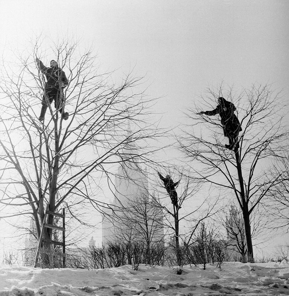 Виктор Ахломов. На Ленинских горах. Москва.1960