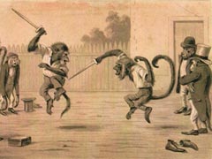 Классик кунг-фу сразится с обезьянами