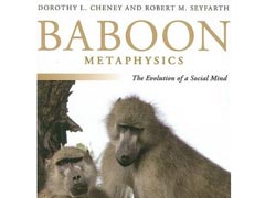 «Метафизику бабуинов» выдвинули на приз