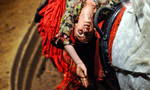 Чеховский фестиваль открылся цирком с конями