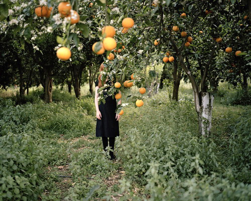 Анни Леппяля. Апельсиновое дерево. 2008
