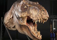 Точная копия головы тираннозавра, использовавшейся при съемках фильма «Парк юрского периода» (Universal, 1993)