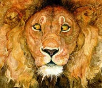 Иллюстрация Джерри Пинкни на обложке книги «Лев и мышь»