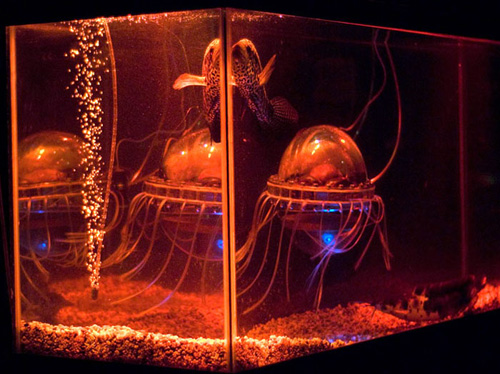 Ду Сунг Ю (США). Роботизированное свиное сердце-медуза. 2009. Симбиотическое сочетание свиного сердца и роботизированной медузы