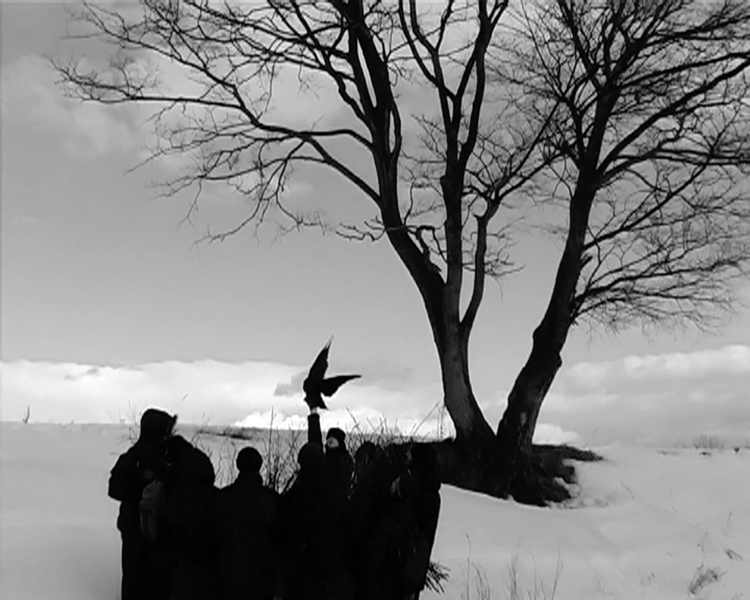 Provmyza. «Отчаяние», кадр из видео. 2008
