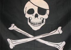 В Подмосковье съехались пираты