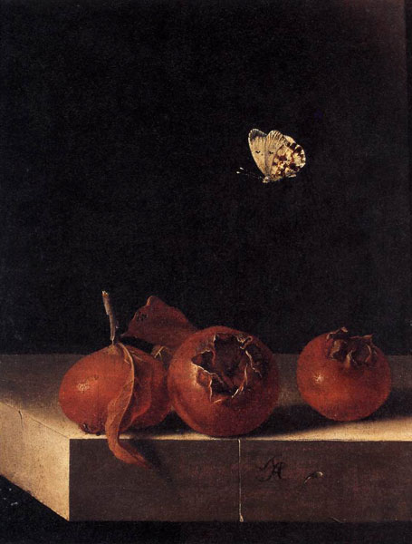Адриан Коорт. Натюрморт с мушмулой и бабочкой. 1705
