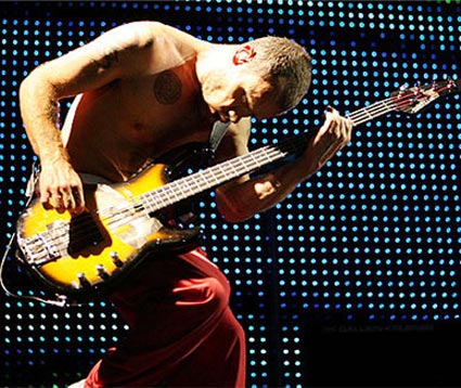 Представитель Рода Стюарта опроверг информацию о том, что группа The Faces в 2009 году запишет новый альбом и поедет в турне с басистом Red Hot Chili Peppers Фли.
