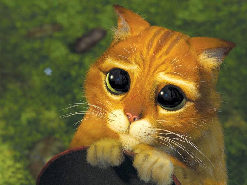 Студия DreamWorks опубликовала план развития своих мультфраншиз, включая «Шрека». Cам «Шрек» получит третий сиквел, кроме того, выйдет отдельный фильм про одного из самых эффектных персонажей этого проекта – Кота в сапогах.