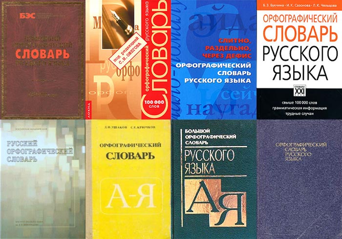 Минобрнауки пока не планирует устраивать реформу русского литературного языка. Новые нормы языка, утвержденные министерством, являются только рекомендацией для чиновников.