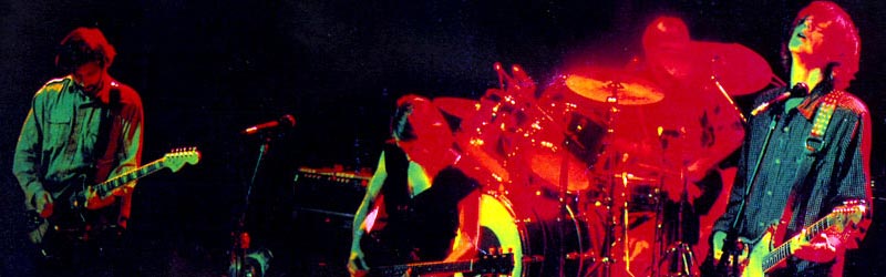 Знаменитая альт-рок-группа Sonic Youth дописывает свой новый альбом. 16-й диск Sonic Youth имеет рабочее название «The Eternal» и должен выйти в июне 2009 года.