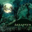 Группа «Аквариум» объявляет сегодня, 11 февраля, цифровой релиз своего нового концертного альбома. Сборник «День радости», записанный в Екатеринбурге 14 декабря 2009 года, выложен на портале Kroogi.ru.