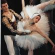 Знаменитая грузинская балерина Нина Ананиашвили, которая сейчас выступает на Эдинбургском фестивале с Государственным балетом Грузии, осудила военный конфликт, который происходит в эти дни в Южной Осетии.
