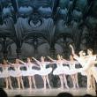 В этом году престижнейшая балетная премия Benois de la danse останется без церемонии награждения и мини-фестиваля с участием лауреатов. У Минкультуры на это просто нет денег.