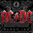 Новый альбом хард-рок-группы AC/DC «Black Ice» в первую неделю после релиза возглавил хит-парады 29 стран мира. Таким образом, AC/DC не дотянули до других классиков тяжелого рока, Metallica, чей альбом «Death Magnetic», вышедший в сентябре, возглавил хит-парады 33 стран.