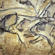 Изображения львов на стене пещеры Шове. 31–28 тысяч лет до н.э.