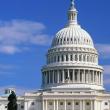 Палата представителей американского Конгресса одобрила бюджет крупнейших институций, осуществляющих в США поддержку культуры. Общая сумма государственных ассигнований в этой области в 2010 году превысит $1 млрд.