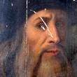 Картина, которая может оказаться уникальным прижизненным портретом Леонардо да Винчи, была представлена публике на пресс-конференции в Риме.