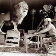 Лев по имени Slats позирует для эмблемы студии MGM. 1924