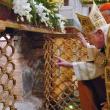 В Риме обнаружены останки апостола Павла. Об этом заявил Папа Римский Бенедикт XVI. Останки хранятся в саркофаге под алтарем собора Святого Павла за городскими стенами.