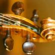Полиция Румынии обнаружила в городе Констанца на Черном море старинную скрипку, которая предположительно является украденным инструментом работы Страдивари.