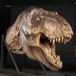 Точная копия головы тираннозавра, использовавшейся при съемках фильма «Парк юрского периода» (Universal, 1993)