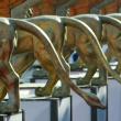Золотые львы у входа во Дворец кино в Венеции - Fabrizio Maltese