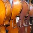 В Риме повесился российский музыкант Сергей Дьяченко, которого накануне обвинили в продаже обычных скрипок под видом старинных.