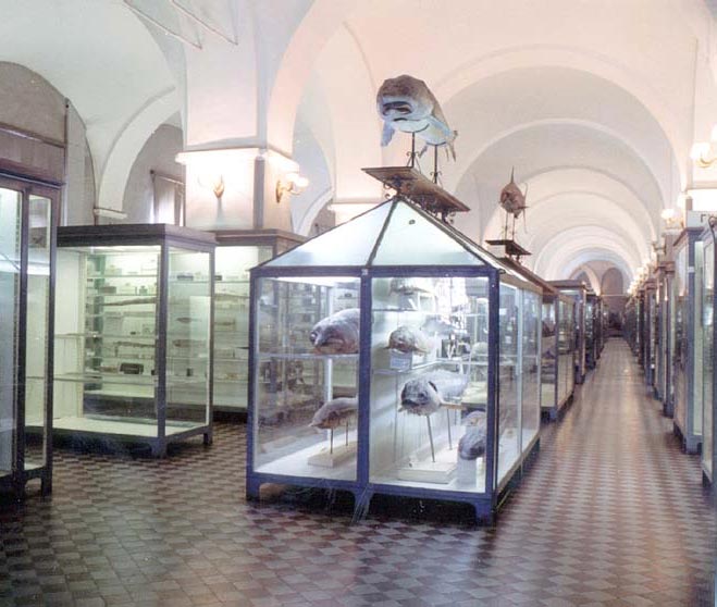 53% россиян не были в музее уже несколько лет. Такие результаты показал опрос ВЦИОМ. Вообще никогда не посещали музеи 20% опрошенных – на 6% больше, чем в прошлом году.