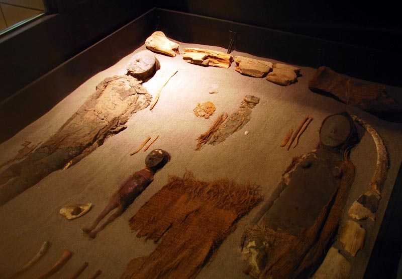 Швейцария передала правительству Чили четыре мумии, две из которых принадлежат к числу самых древних в мире: их возраст составляет около семи тысяч лет.