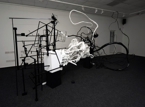 Каварга. Интерактивная инсталляция «Биполярная модель сознания». 2008–2009