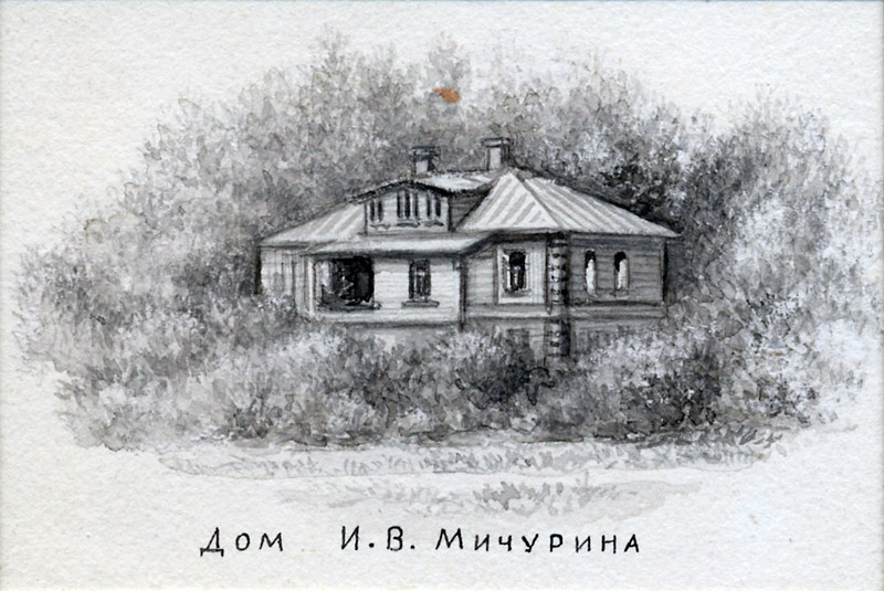 Борис Булгаков. Иллюстрация к «Книге о растениях». 1953 