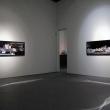 Выставка Сергея Браткова «Ни войны, ни мира»  - Сергей Братков