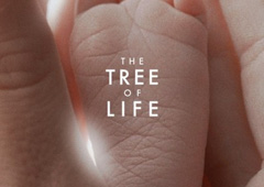 Премьера «Древа жизни» состоится в Канне