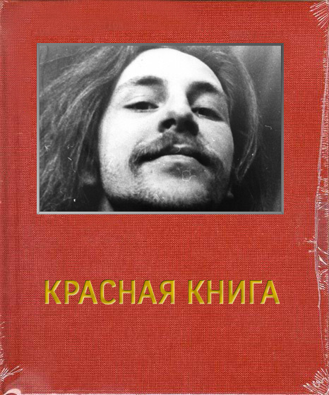 Красная книга - 8. Проповедник брейк-данса Владимир Рацкевич