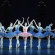 Выступление Американского театра балета (American Ballet Theatre)
