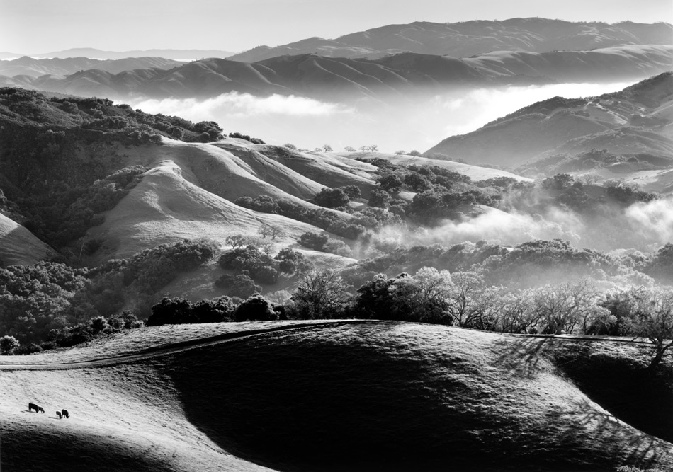 Джон Уимберли. Долина Кармэл, вид с вершины холма. 1993  